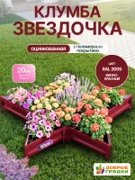 Клумба звездочка