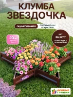 Клумба звездочка — изображение 2